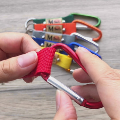 Carabiner Keychains